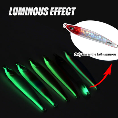 JIGGING PRO 40g 60g 80g 100g Sardine Jig Casting Jigs Shore Jigging Lure