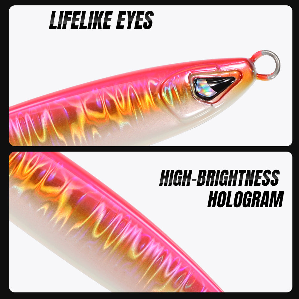 JIGGING PRO 40g 60g 80g 100g Sardine Jig Casting Jigs Shore Jigging Lure