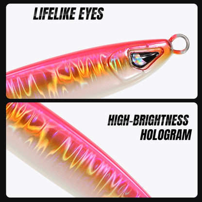 JIGGING PRO 40g 60g 80g 100g Sardine Jig Casting Jigs Shore Jigging Lure