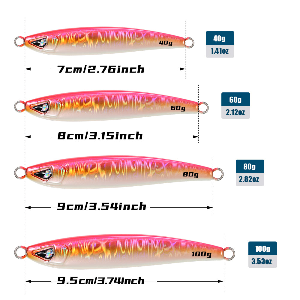JIGGING PRO 40g 60g 80g 100g Sardine Jig Casting Jigs Shore Jigging Lure