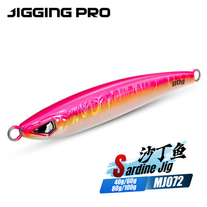 40g 60g 80g 100g Sardine Jig Casting Jigs Shore Jigging Lure