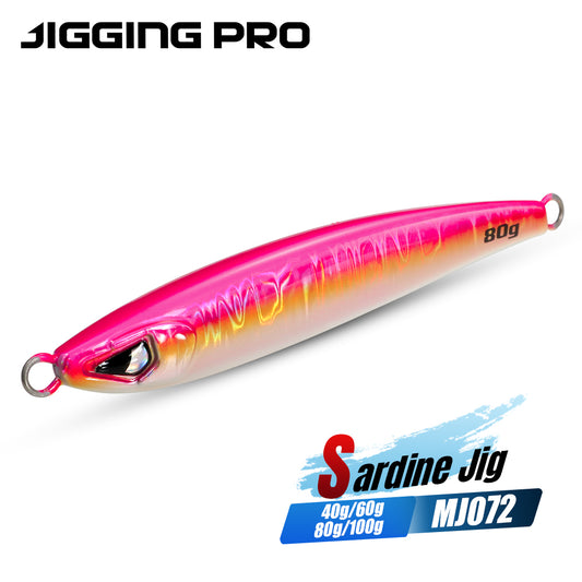 JIGGING PRO 40g 60g 80g 100g Sardine Jig Casting Jigs Shore Jigging Lure
